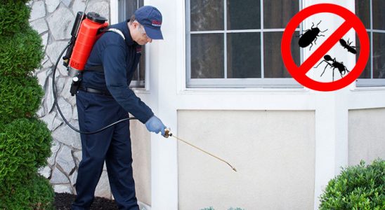 Eskipazar Kemirgen İlaçlama böcek ilaçlama ve haşere kontrolü — ilaclama-tr.com